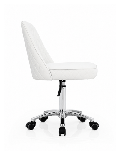 Esthetician Stool PB-1053
