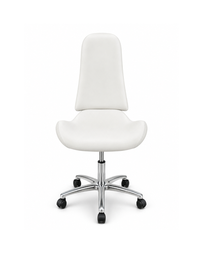 Esthetician Stool PB-2104
